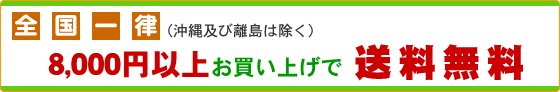 8000円以上お買い上げで全国一律送料無料