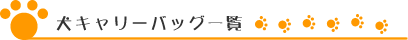 ���L�����[�o�b�O�ꗗ