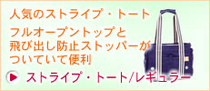 �l�C�̃X�g���C�v�A�g�[�g
